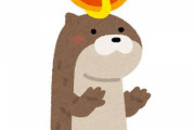 【画像あり】カワウソさん、あざとすぎるｗｗｗｗｗｗｗｗ
