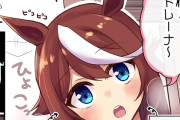 【ウマ娘】無自覚にトレーナーの理性を破壊するテイオー