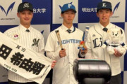 明治大学出身のプロ野球選手wwwwwww