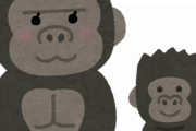 ゴリラの親子さん、うねうねする何かを見つけてしまった結果ｗｗｗｗｗｗｗ