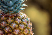日本以外からも続々…台湾産パイナップルが国際市場開拓、すでに中国向け輸出を上回る注文