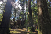 暇だから山の神社に行ってきた