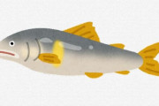【悲報】「この魚…不味くね？w」っていうと信者が発狂する魚w