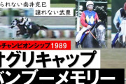 オグリキャップのマイルCS連闘JCって今あり得るのか？