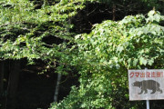 【秋田】クマよけの鈴って効果あんの？
