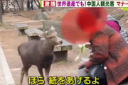 【画像】中国人、奈良のシカさんにヤリタイ放題ｗｗｗｗｗｗ
