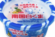 セイカ食品さんの白くまアイスが1番好き。みんな何アイスが好き？