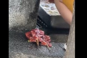 【動画】「公園の水道で冷凍焼き鳥を解凍」・・・祭りの屋台の仕込みやばい