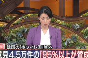 【ホワイト除外】パブコメに4.5万件、95％以上が賛成…日本中が韓国にガチギレ