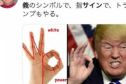 米テーマパークのスタッフ、黒人の子供の隣でうっかり「OKサイン」を出してしまって解雇
