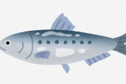 【悲報】　「イワシ」とかいうしょうもない魚、スーパーで場所を取り始める……