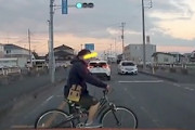 【動画】埼玉県に出没するこの自転車男に注意。NX300h乗り、ミラーを割られてしまう。