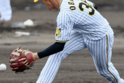 【悲報】阪神タイガースの二遊間、結局中野糸原になりそうＷＷＷＷＷＷＷＷＷＷＷＷＷ