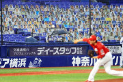 朗報？プロ野球が7月10日から観客を入れて開催する模様　競馬場はまだか？
