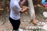 【命にかかわる行為】登山標識を放り投げる動画がSNSで拡散