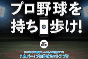 野球ファン「野球観戦2000円は安い」　野球ファン「プロ野球見放題セットが一カ月2000円は高い」