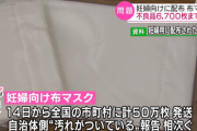 妊婦向けの布マスク 不良品6700枚に 原因調査