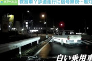 【教習車】「仮免許 練習中」が数々の交通違反…歩道走行に信号無視の瞬間…