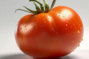 【画像】めちゃくちゃセクシーなトマト、見つかるｗｗｗｗｗ