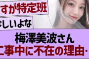 梅澤美波さん、乃木坂工事中不在の理由が…【乃木坂46・乃木坂工事中・乃木坂配信中】