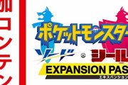 【悲報】無職(23)、改造したポケモンを4千円で会社員(36)に販売し逮捕ｗｗｗｗｗｗｗｗ