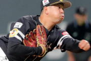 阪神、ソフトバンク戦力外の渡辺雄大投手（３０）を育成契約で獲得