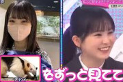 【櫻坂４６】「そこ曲がったら 櫻坂」『私は誰？遠藤理子さんのランキング。』