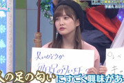 加藤史帆とかいう変態ｗｗｗ※gifあり【日向坂46】
