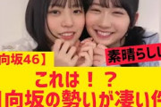 【5月23日の人気記事10選】 日向坂46これは!?日向坂の勢いが凄い件… ほか【乃木坂・櫻坂・日向坂】