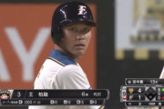 日ハム王柏融のオープン戦成績ｗｗｗｗｗｗｗｗ