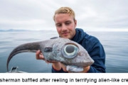 【ノルウェー】巨大な目をしたエイリアンのような「謎の魚」が釣り上げられる！「食べちゃったけど、タラの味がして美味しかった」