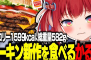 【Vtuber】かるびバーキンのバーガー2個半食べるって聞いたけどこのサイズを2個食うんか