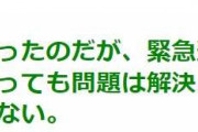 この年で独り者になって知ったのだが、緊急連絡先がないと家も借りられない→ もう非婚や少子化でおひとり様や一人っ子も多いから保証人問題は直面したら詰む
