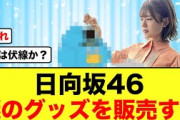 【日向坂46】全国ツアーで謎のグッズが販売されおひさま困惑する