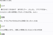 アルパカに懐かれるエマさん……【毎日劇場】