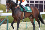 【きさらぎ賞1番人気で3着】アルジャンナ 川田騎手 『スムーズな競馬ができました』 ←は？
