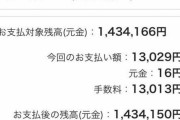 【超画像悲報】リボ払い民さん、毎月元金が16円しか減ってない現実を直視して無事死亡...w