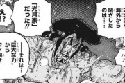 【朗報】ワンピース、キャラクターが次々に復活していく胸熱展開