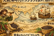 俺「大航海時代はコショウを求めて始まった」←これ