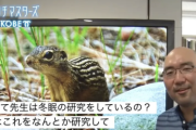 めちゃくちゃ応援したくなる研究がこれ
