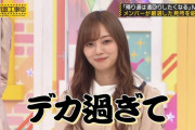 梅澤美波ちゃんのケツが…【朗報】れなちさんの番組が有能だったｗｗｗ【乃木坂46】