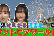 【電力速報】この新潟の遊園地「サントピアワールド」の人の投稿が衝撃なんだが‥‥「やばい大ピンチです」→