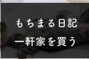 【速報】もちまる日記さん、土地を購入してしまう