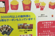 【画像】2017年のマクドナルドの福袋の中身www