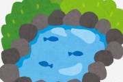 【茨城】 ため池の水を抜いてみた → ヘラブナなどの魚が大量死　周辺住民から「悪臭がひどい」との苦情
