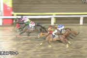 【朗報】柴田善臣さん(54)、東京スプリント(Jpn3)を勝つ