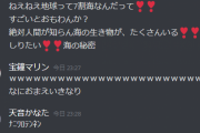 【Twitter】かなマリ仲良いなあｗ