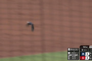 球場に鳥…うっ頭が…