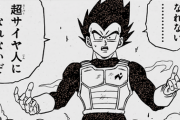 【ドラゴンボール】ベジータさん、みんなが思ってた事をはっきり言われてしまうｗｗｗｗｗ