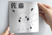ピカチュウが表札に！ 30匹から選べるポケモンの表札「Pokemon SIGN」販売開始